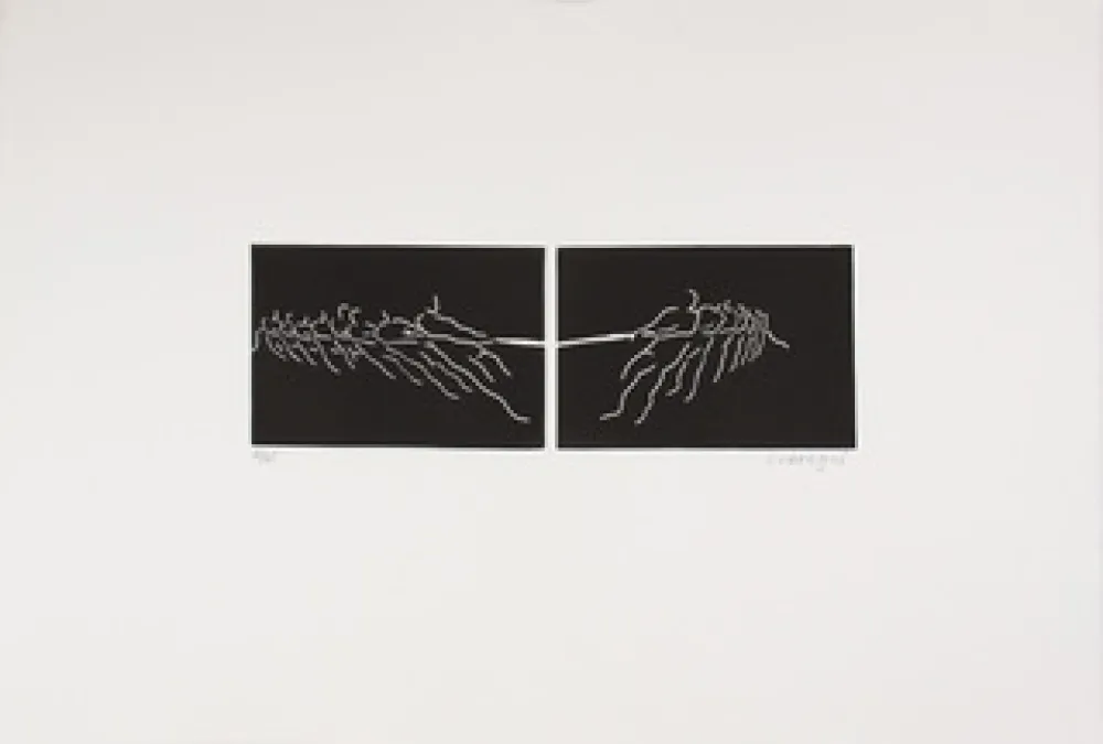 Linosnede Larregui - TIR A LA CORDE