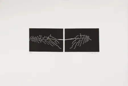 Linosnede Larregui - TIR A LA CORDE