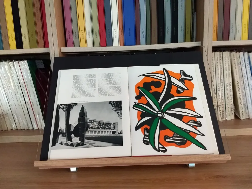 Geïllustreerd Boek Leger - Hommage