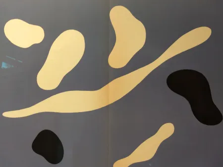 Geïllustreerd Boek Leger - L'art Abstrait