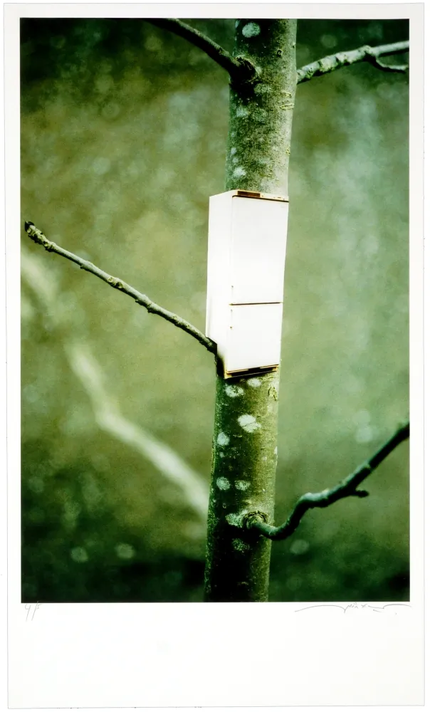 Digitale Print Leick - Greffes et greffons I