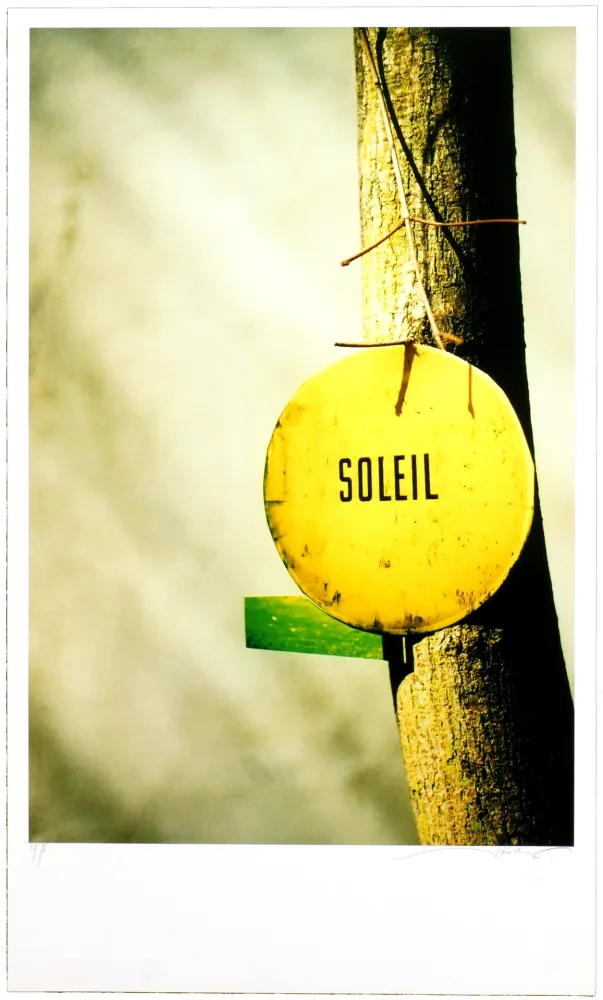 Digitale Print Leick - Greffes et greffons, II