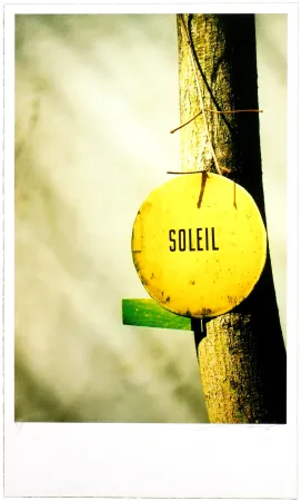 Digitale Print Leick - Greffes et greffons, II