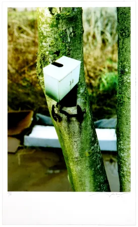 Digitale Print Leick - Greffes et greffons III