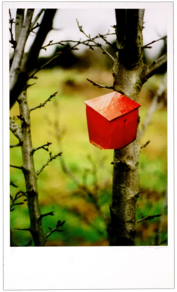 Digitale Print Leick - Greffes et greffons IV