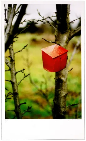 Digitale Print Leick - Greffes et greffons IV