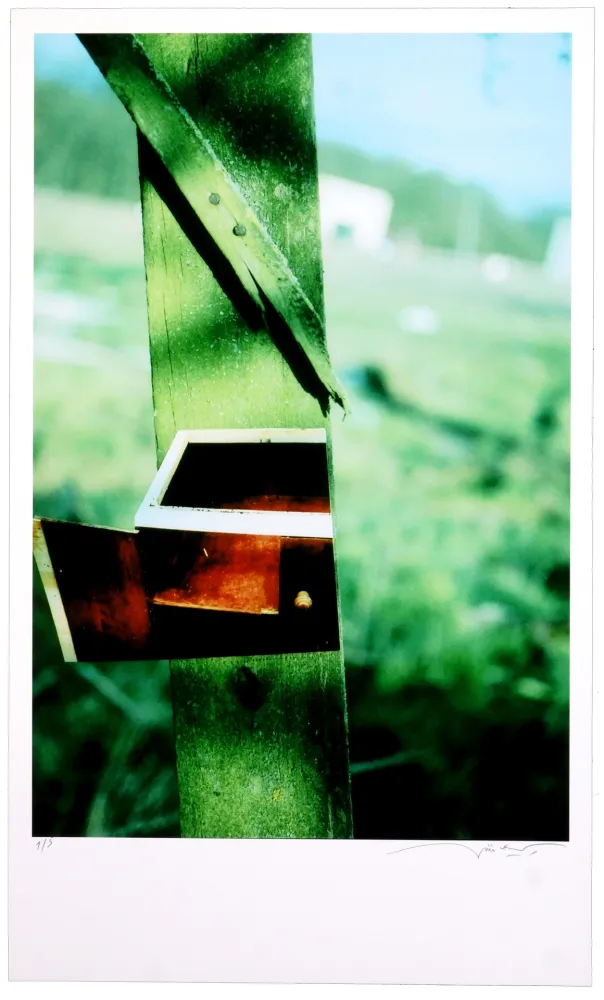 Digitale Print Leick - Greffes et greffons VI