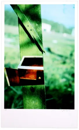 Digitale Print Leick - Greffes et greffons VI