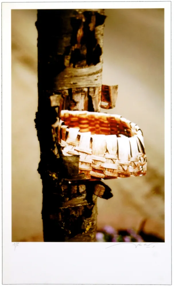 Digitale Print Leick - Greffes et greffons VIII