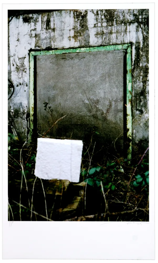 Digitale Print Leick - Greffes et greffons VIII