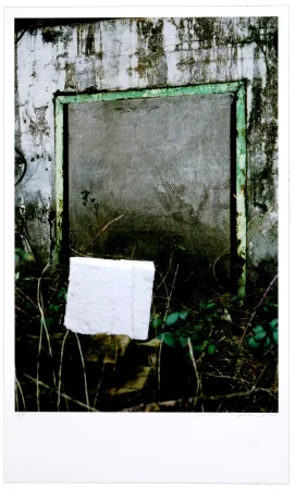 Digitale Print Leick - Greffes et greffons VIII