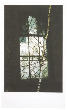 Digitale Print Leick - La fin d’un monde VI