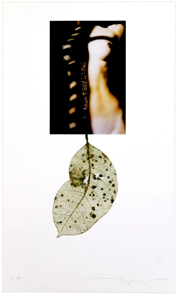 Digitale Print Leick - Sans titre I