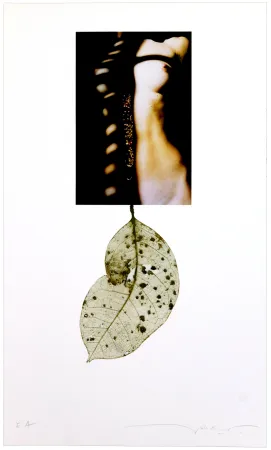 Digitale Print Leick - Sans titre I