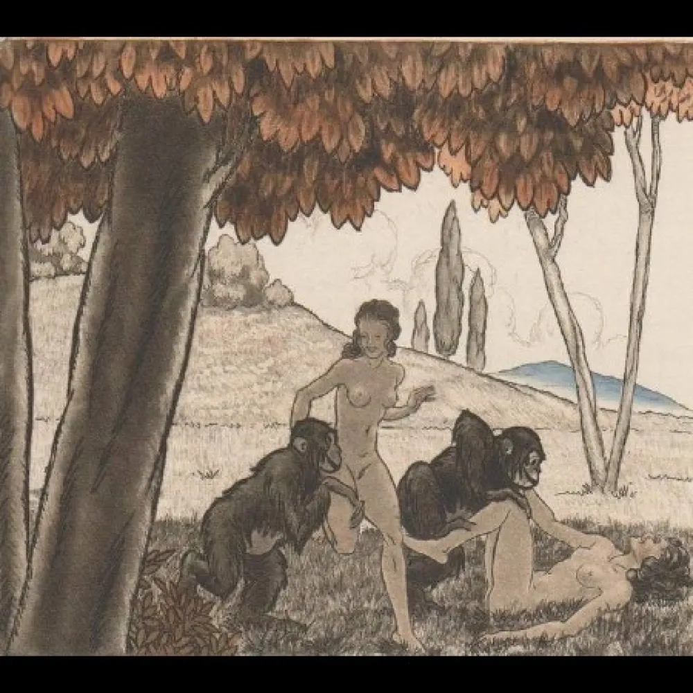 Geïllustreerd Boek Leroy  - Candide, ou l'optimisme