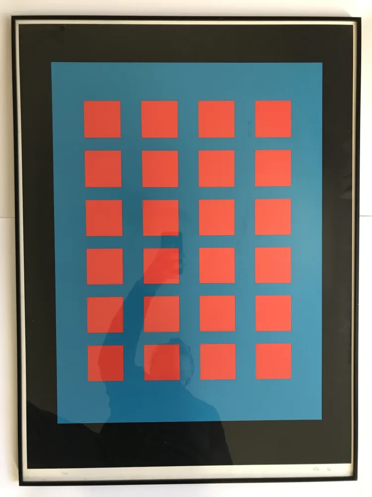 Zeefdruk Leviant - Magic Chips