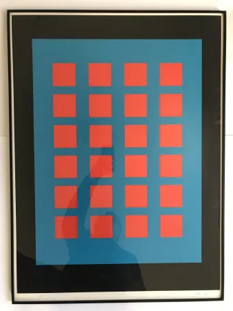 Zeefdruk Leviant - Magic Chips