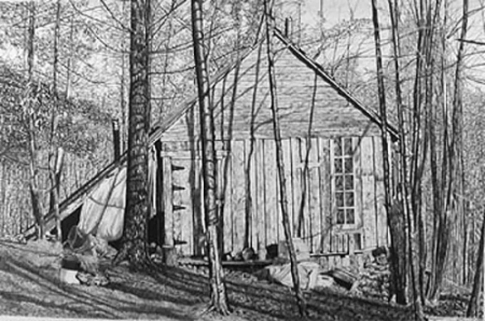Lithografie Levine - The Brookwood Cabin