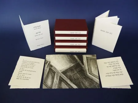 Geïllustreerd Boek Levy - Tout est ici