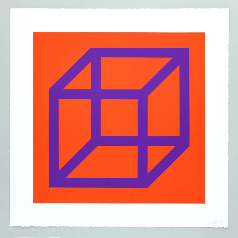 Geen Techniek Lewitt - Open Cube in Color on Color Plate 29