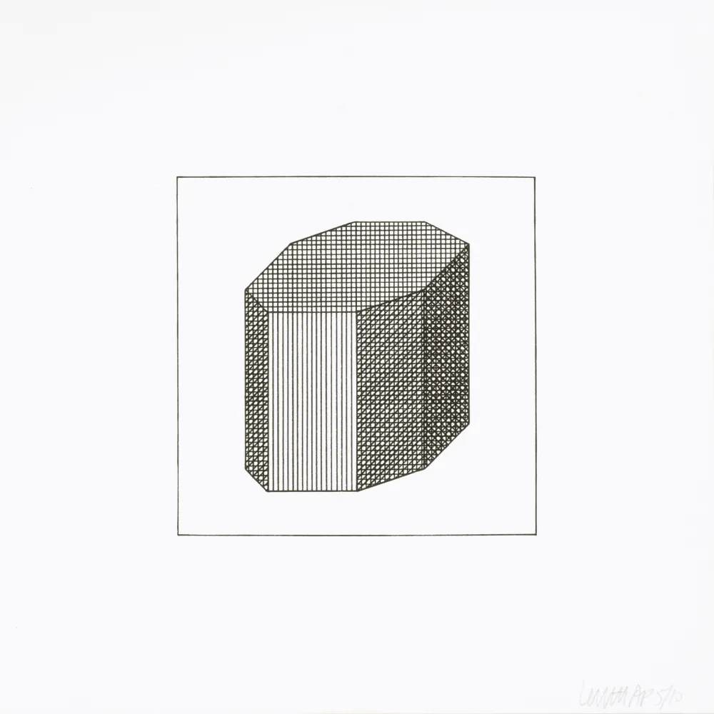 Zeefdruk Lewitt - Twelve Forms Derived From a Cube 12