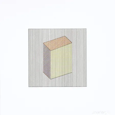 Zeefdruk Lewitt - Twelve Forms Derived From a Cube 17