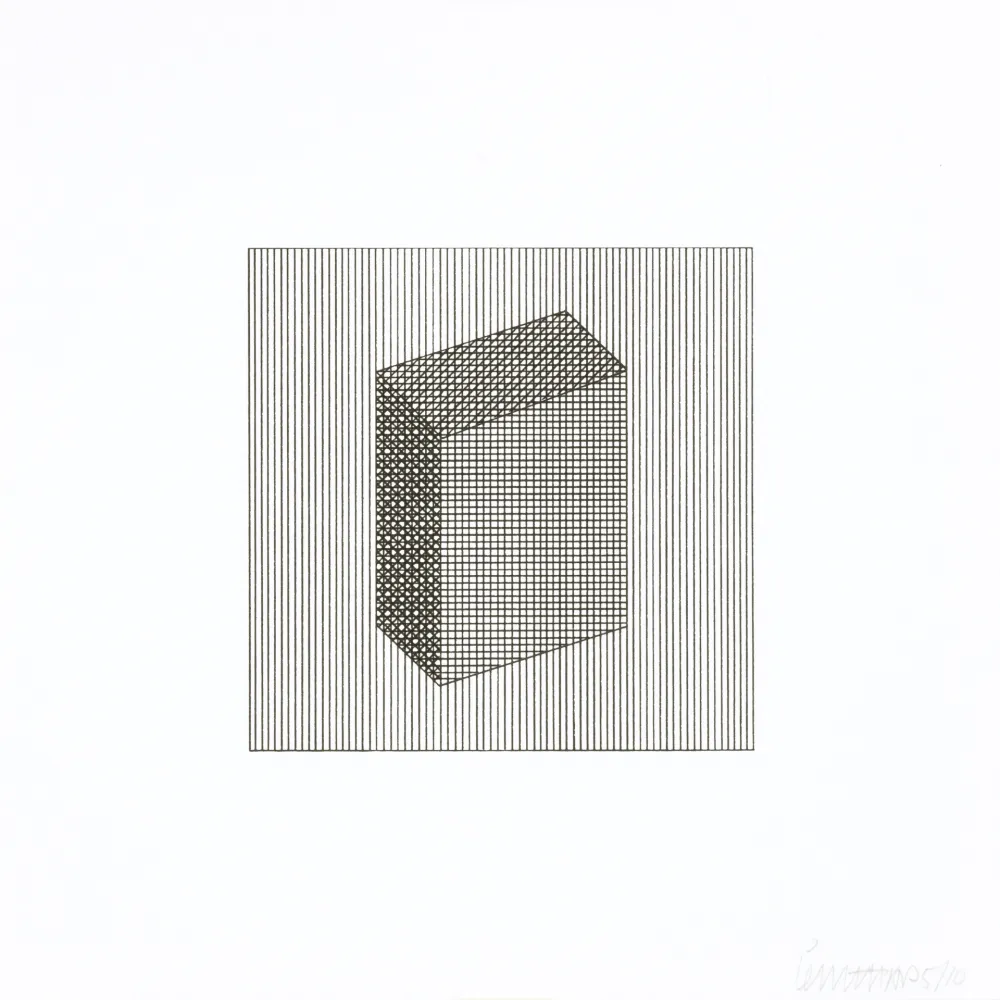 Zeefdruk Lewitt - Twelve Forms Derived From a Cube 18
