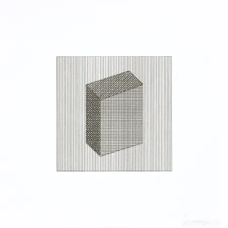 Zeefdruk Lewitt - Twelve Forms Derived From a Cube 18