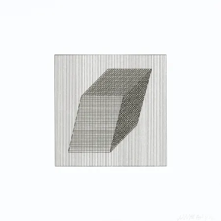 Zeefdruk Lewitt - Twelve Forms Derived From a Cube 20