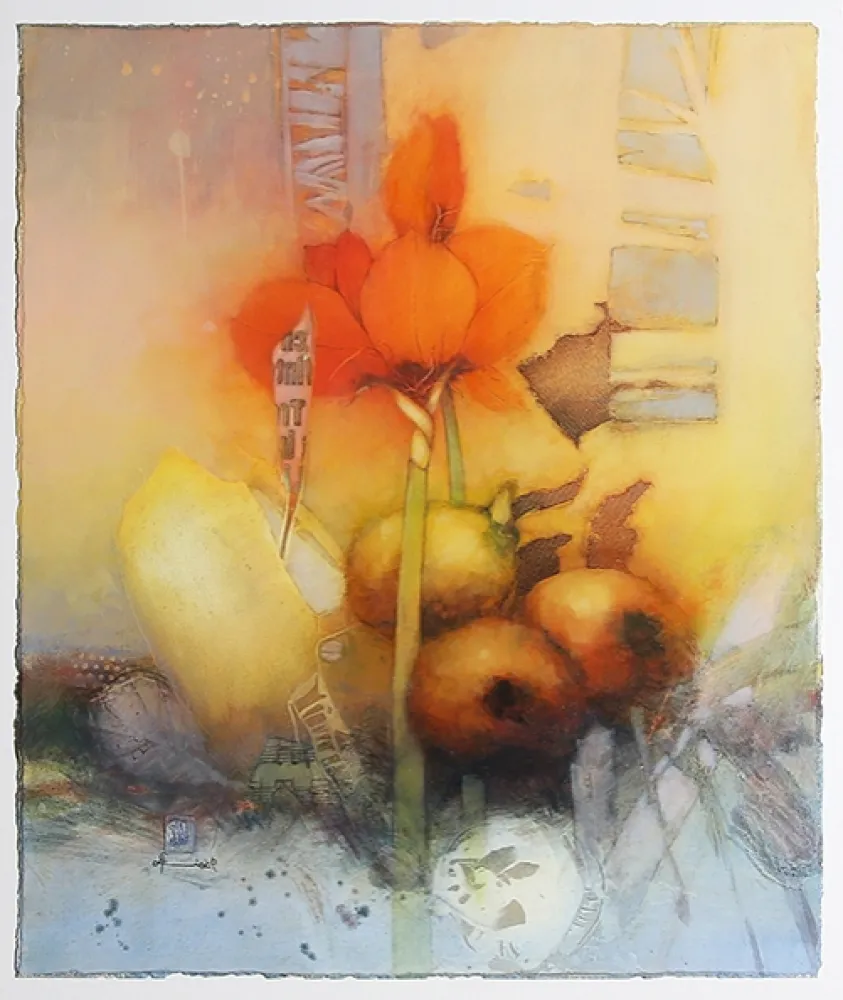 Geen Techniek Lieck - Amaryllis