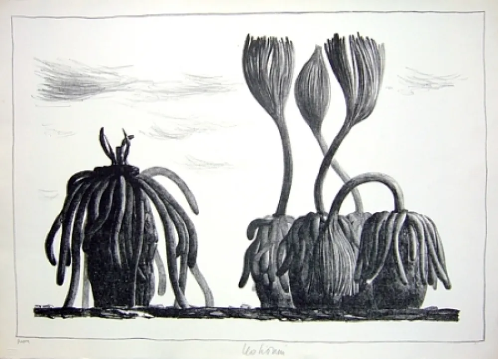 Lithografie Lionni - Betula tormens