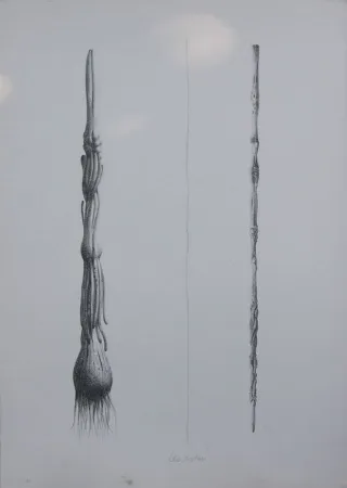 Lithografie Lionni - Due Solee