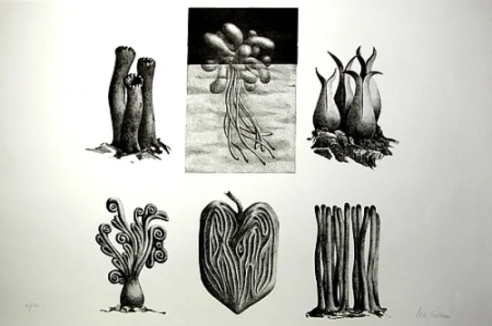 Lithografie Lionni - Senza titolo