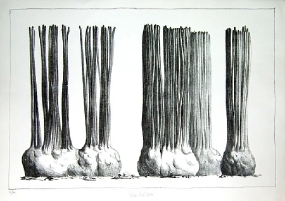 Lithografie Lionni - Taluma trillosa