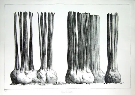 Lithografie Lionni - Taluma trillosa