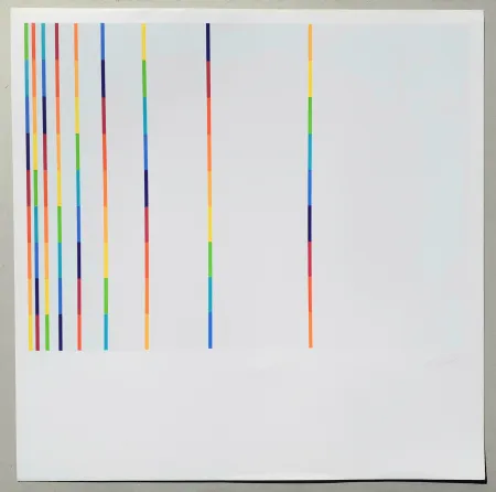 Zeefdruk Lohse - 12 vertical and horizontal progressions