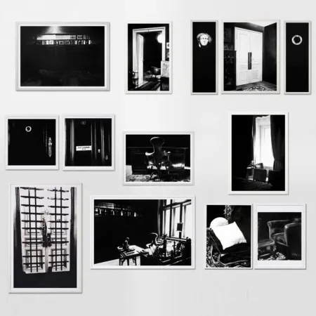 Multiple Longo - The Freud Cycle (portfolio)