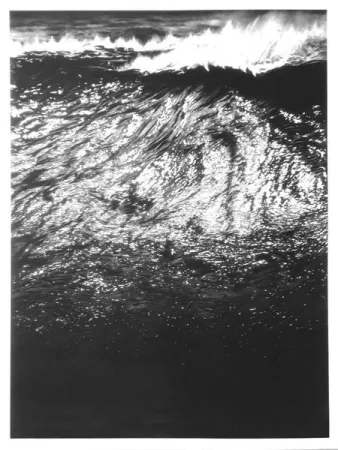 Zeefdruk Longo - The Ledge