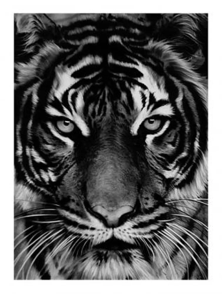 Lithografie Longo - Untitled (Tiger)