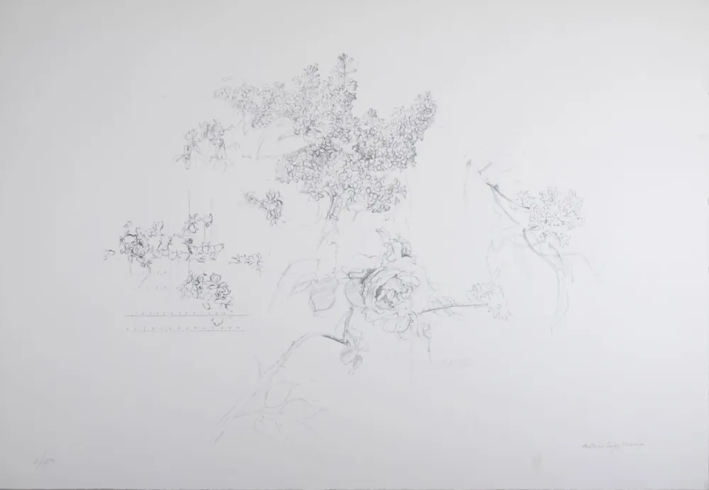 Lithografie López Garcia - Composition