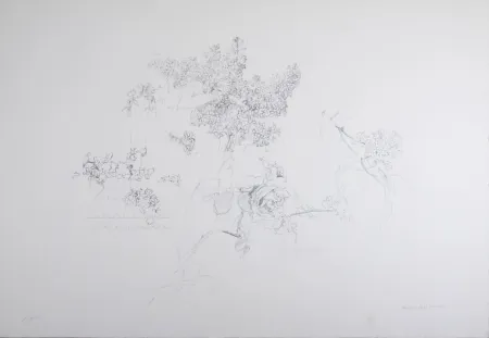 Lithografie López Garcia - Composition