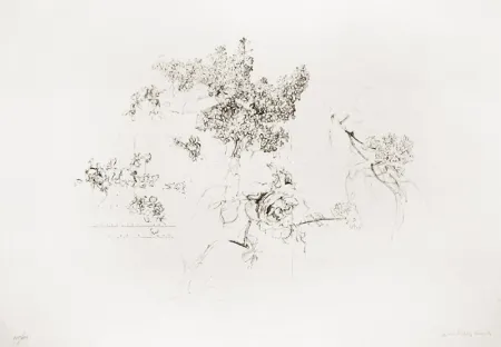 Lithografie López Garcia - Olympic Centennial