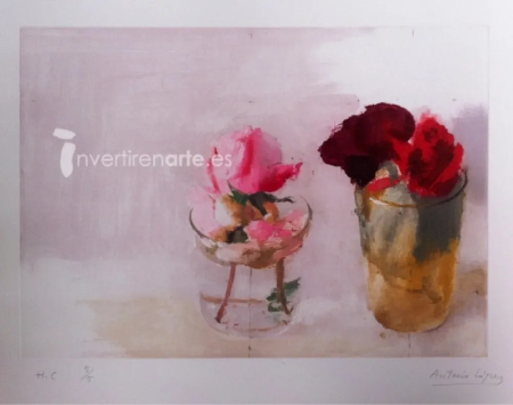Ets López Garcia - Rosas de invierno I
