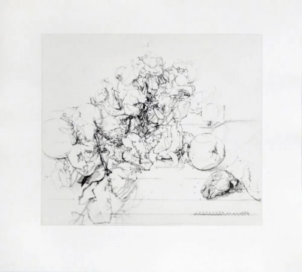 Ets En Aquatint Lopez - Membrillos, granadas y cabeza de conejo