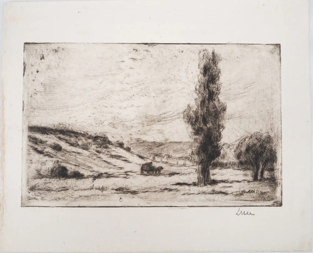 Droge Naald Luce - Maximilien LUCE - Paysage de campagne Vers 1900 - Gravure originale signée
