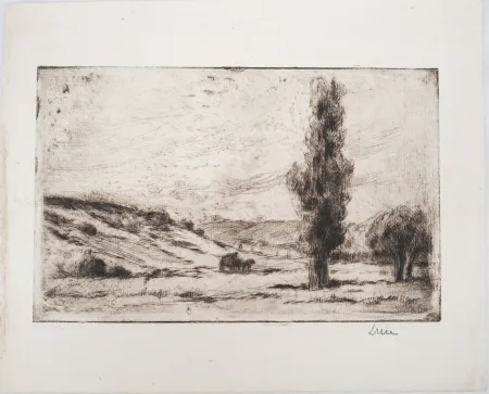Droge Naald Luce - Maximilien LUCE - Paysage de campagne Vers 1900 - Gravure originale signée