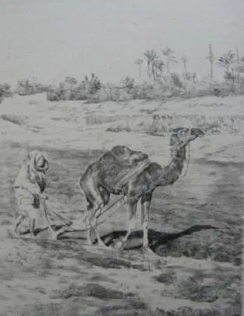 Lithografie Lunois - Laboureur du Kef