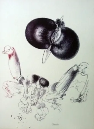 Lithografie Lunven - Sans titre