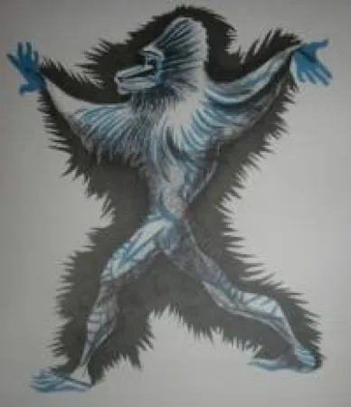 Geïllustreerd Boek Lurcat - Géographie animale