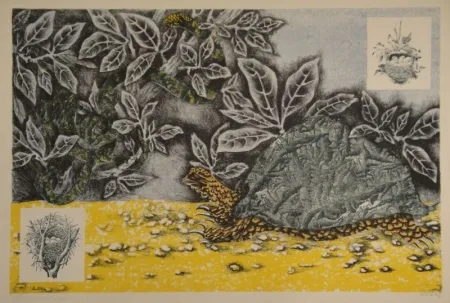 Lithografie Lurcat - La Tortue